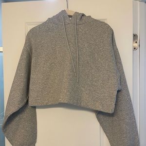 Alo Cropped Hoodie